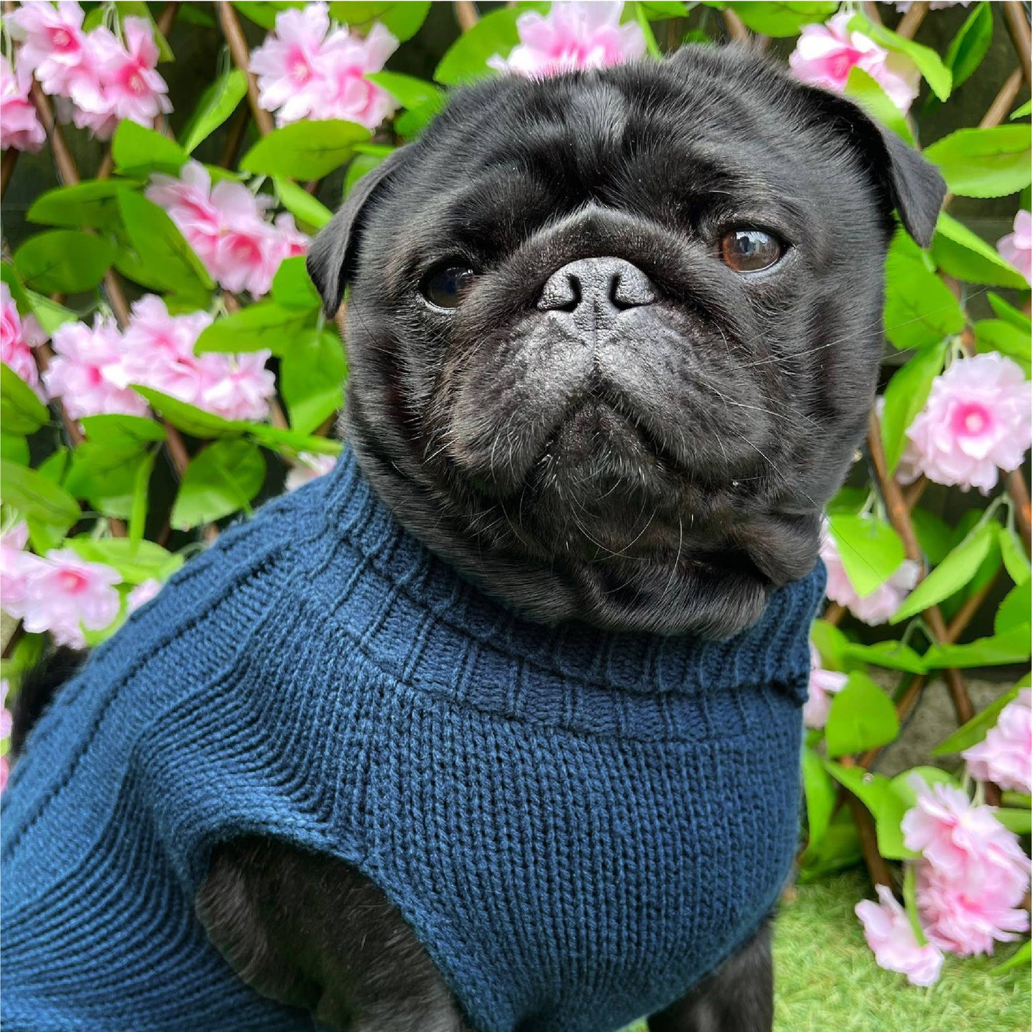 HugglePets Legacy Cable Knit Dog Jumper: Navy
