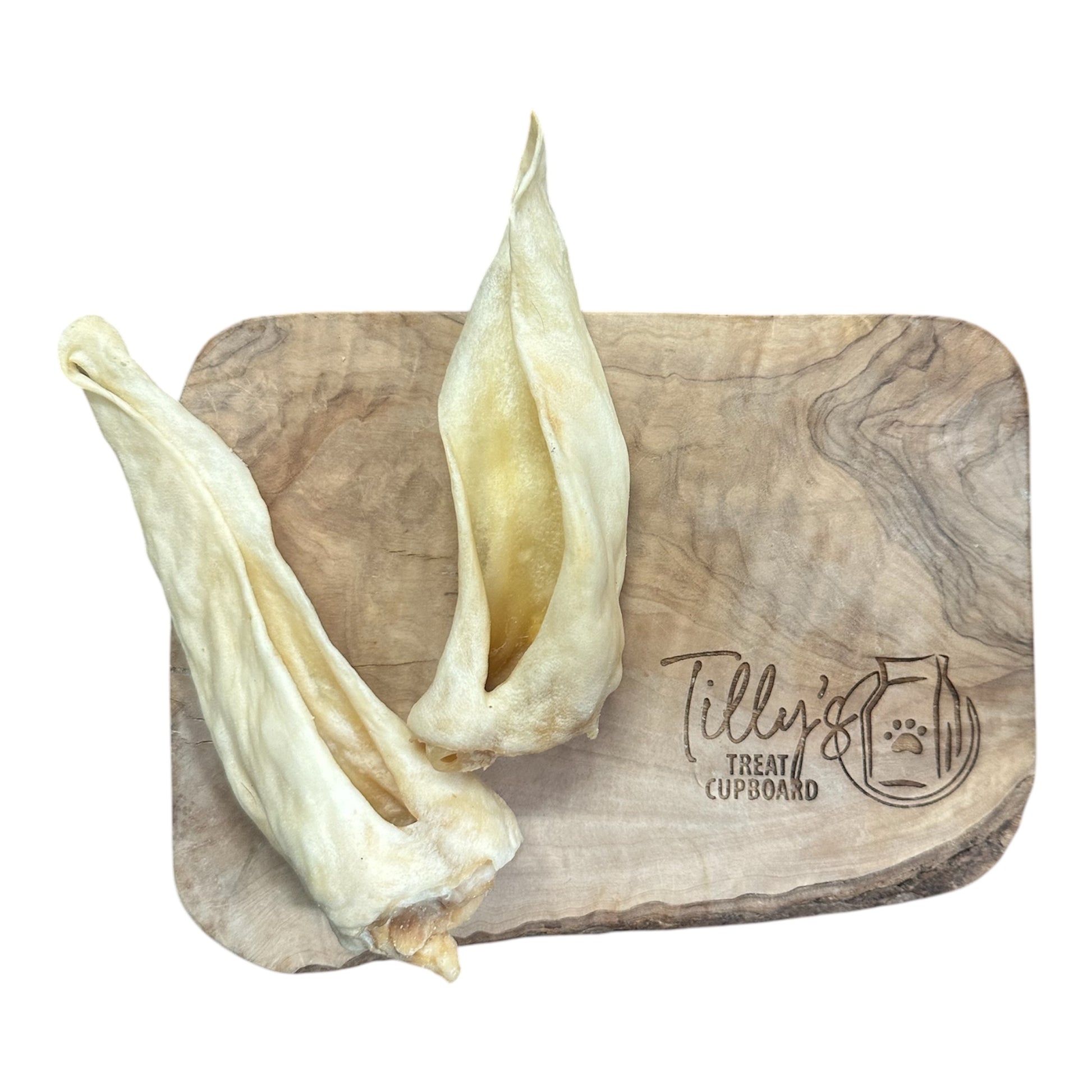 tillys lamb ear hairless