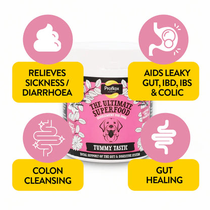 Proflax Tummy Tastic - Pre & Probiotics for Dogs
