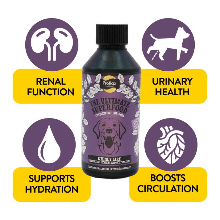 Proflax Kidney Care - Kidney & Urinary Support for Dogs 250ml