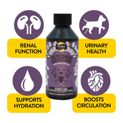 Proflax Kidney Care - Kidney & Urinary Support for Dogs 250ml