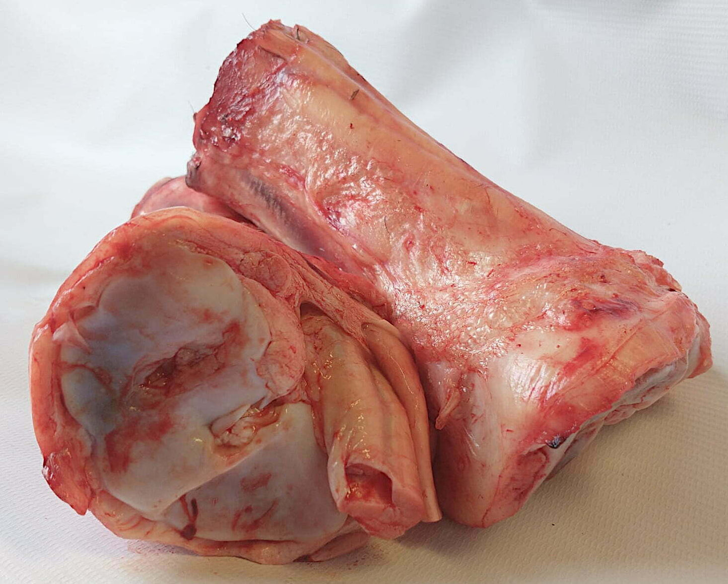 Raw Large Beef Marrow Bones x2