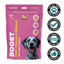 Prodog Boost Multi-Vitamin and Mineral Supplement