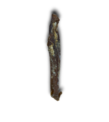 Bully Muscle Tube