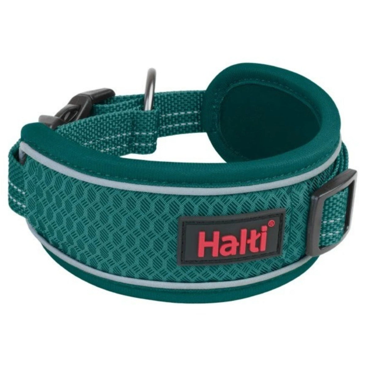 Teal dog collar with Halti logo on a white background