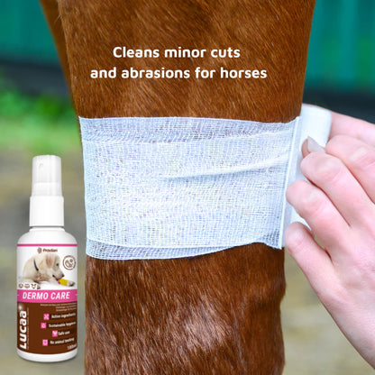 LUCAA Pet Probiotic Dermo Care - 100ml Spray