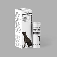 Propythium Effervescent Tablets