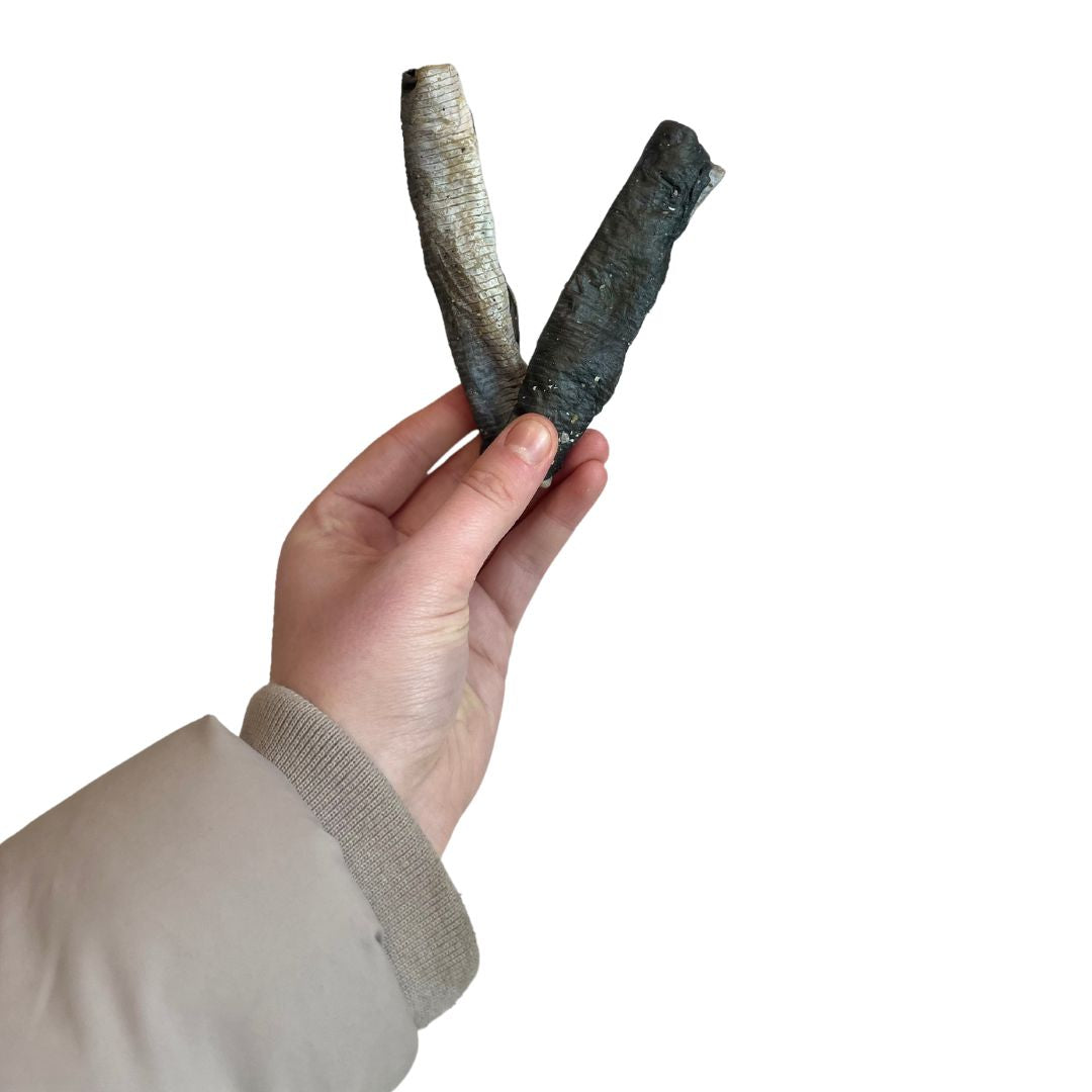 Fish Skin Roll
