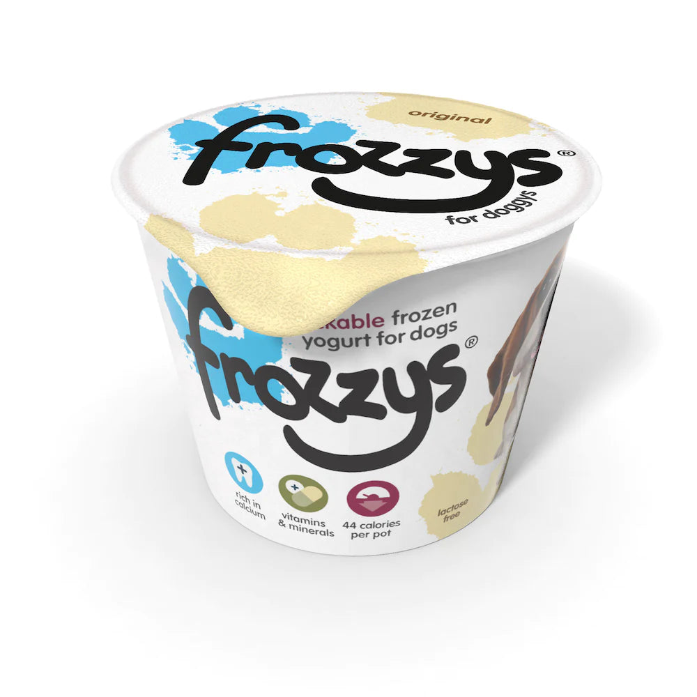 Frozzys Frozen Yogurt 85g