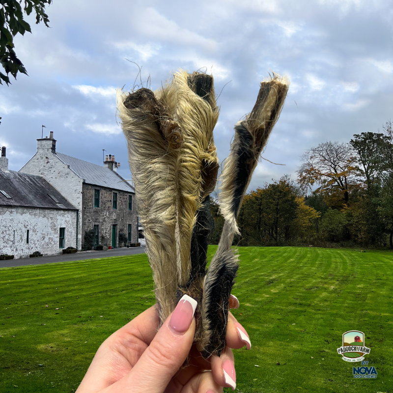 Hairy Lamb Skin