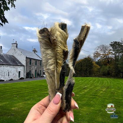 Hairy Lamb Skin