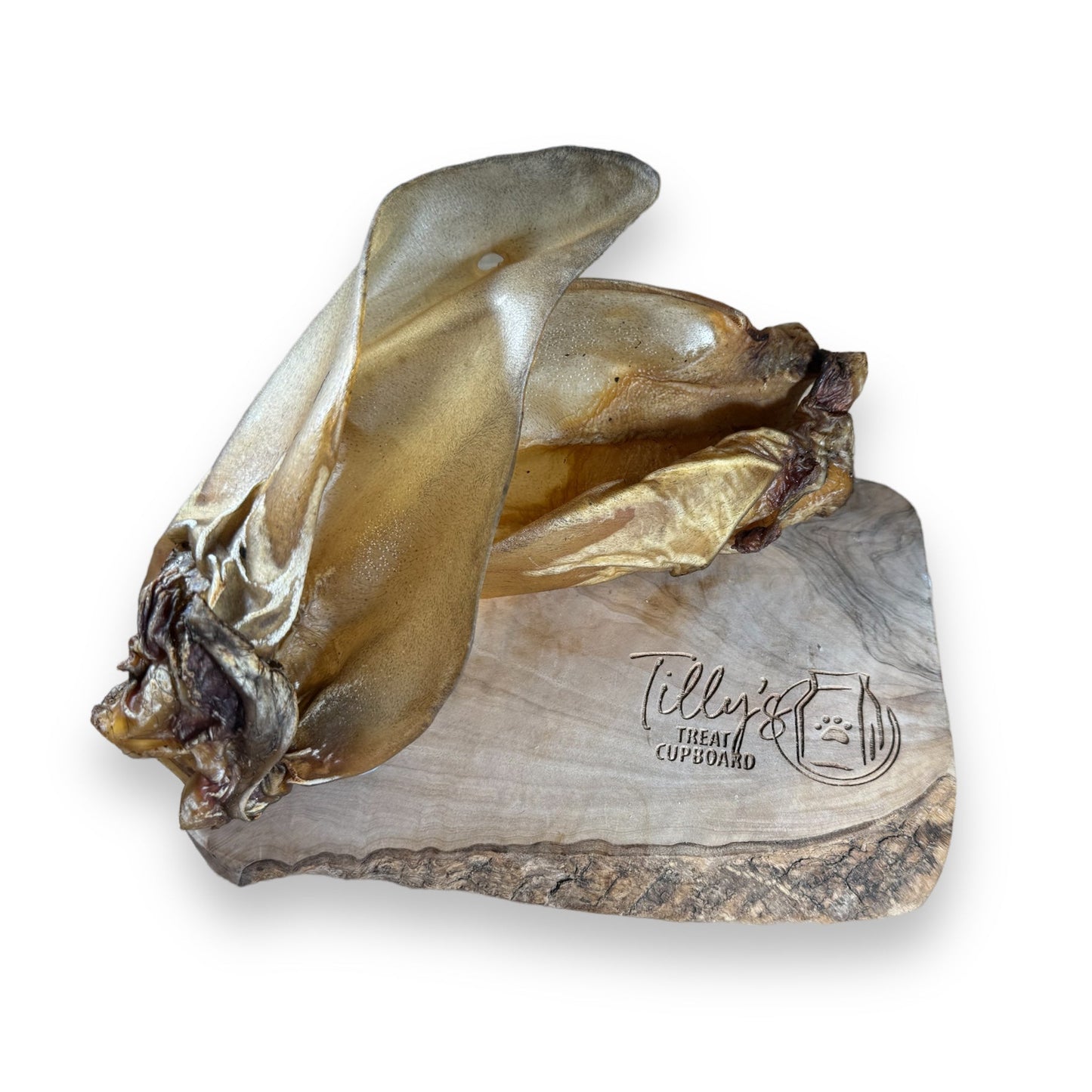 tillys buffalo ear