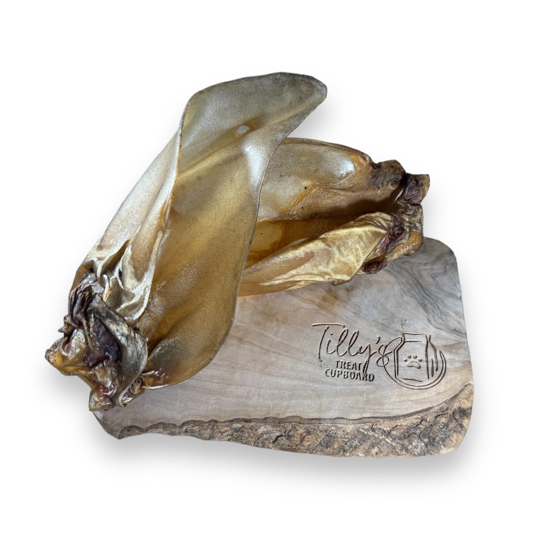 tillys buffalo ear