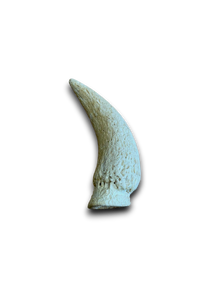 Cow Horn Marrow