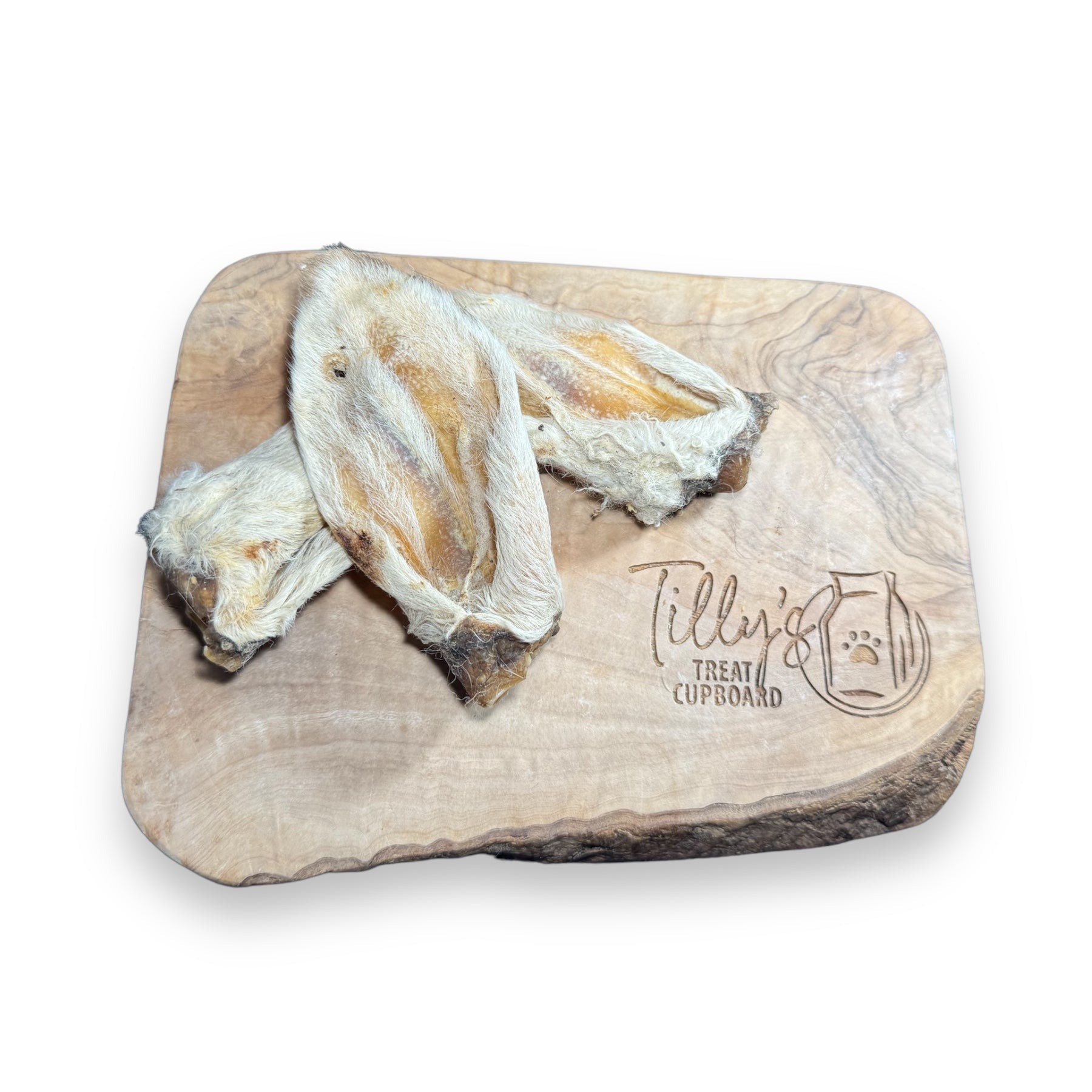 tillys hairy lamb ear 
