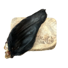 tillys hairy buffalo ear