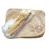 tillys rabbit skin roll