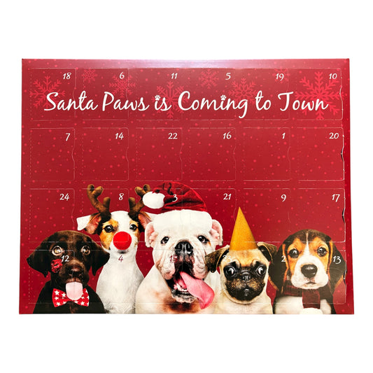 Advent calendar with dogs wearing festive hats and a red background