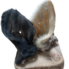 tillys cow ears