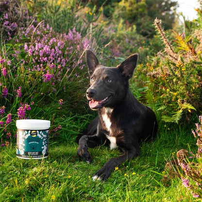 Proflax Keep Off Me! Powder for Dogs