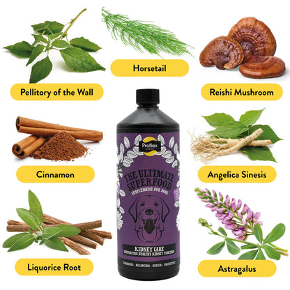 Proflax Kidney Care - Kidney & Urinary Support for Dogs 250ml