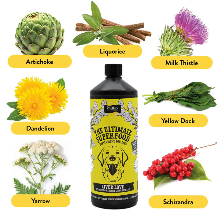 Proflax Liver Love - Liver & Cleansing Support for Dogs 250ml