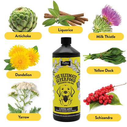Proflax Liver Love - Liver & Cleansing Support for Dogs 250ml