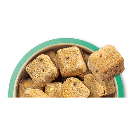 Bowl of square-shaped pet treats with a green rim on a white background