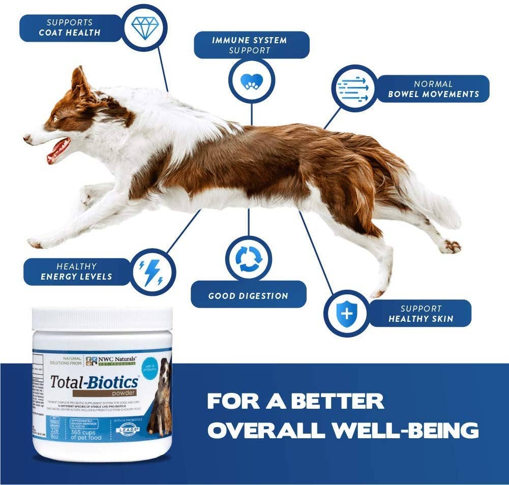 Dog with health benefits listed and a Total-Biotics powder container on a white and blue background