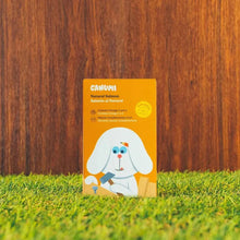 Canumi Natural Salmon Canned