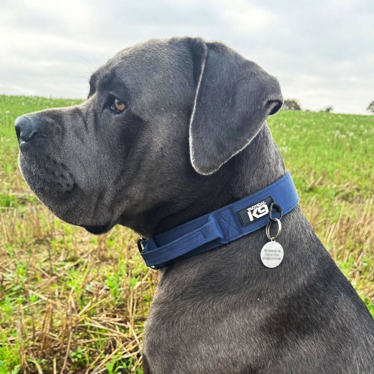 HugglePets Tactical K9 Endurance Adjustable Dog Collar