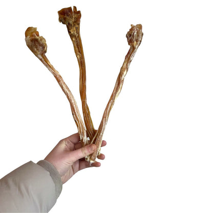 Ostrich Tendons