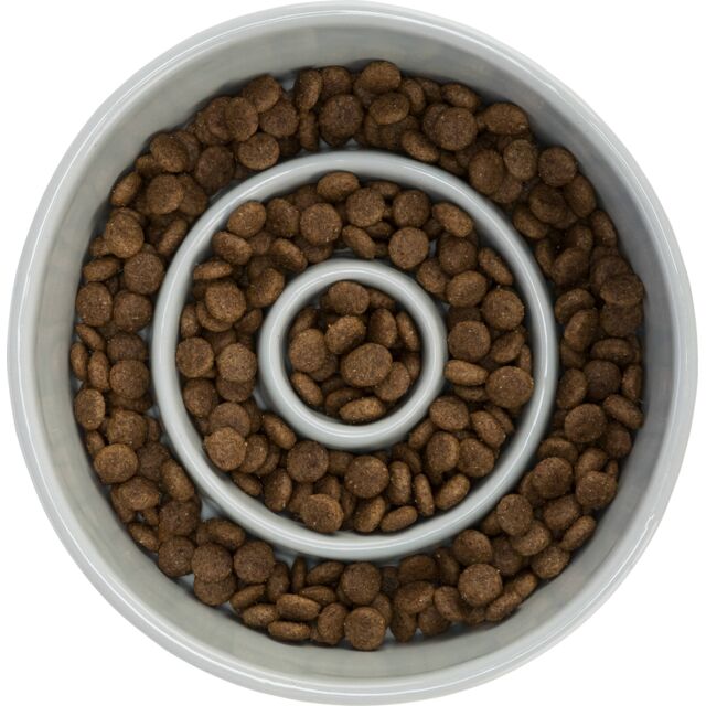 Trixie Slow Feeding Ceramic Bowl