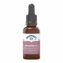 Pulsatilla 15C - 15ml Liquid