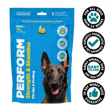 ProDog PERFORM Strength and Stamina Supplement For Dogs