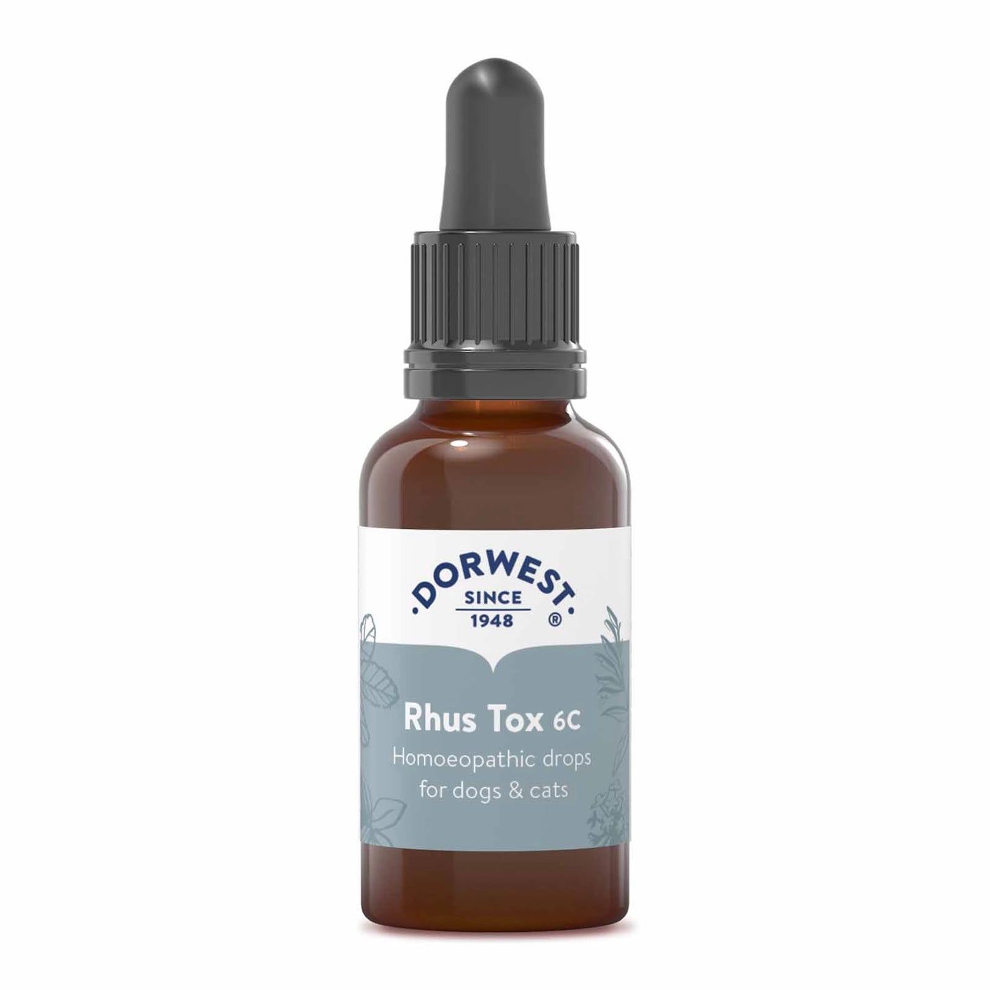 Rhus Tox 6C - 15ml Liquid