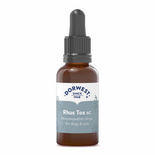 Rhus Tox 6C - 15ml Liquid