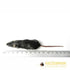 Regular mice 15-22g - Pack of 10