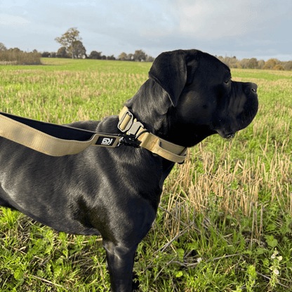 HugglePets Tactical K9 Endurance Adjustable Dog Collar