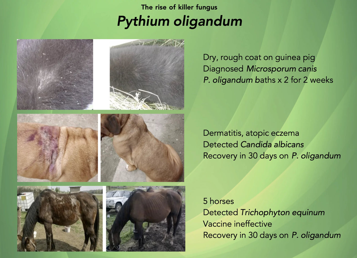 Propythium Effervescent Tablets