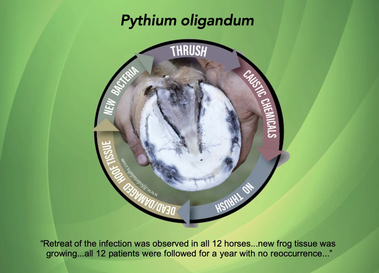 Propythium Effervescent Tablets