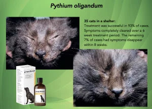 Propythium Effervescent Tablets