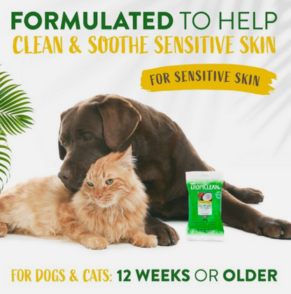 TropiClean Tropiclean Hypoallergenic Wipes 20s