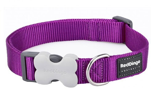 Red Dingo Plain Dog Collars Purple