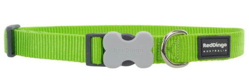 Red Dingo Plain Dog Collar Lime Green