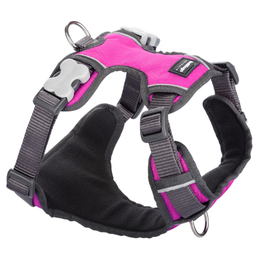 Red Dingo Padded Dog Harness Hot Pink