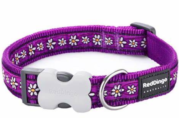 Red Dingo Daisy Chain Collar Purple