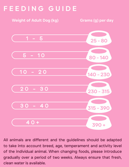 Tilly's Peptide+ Adult Dog Skin and Coat Care