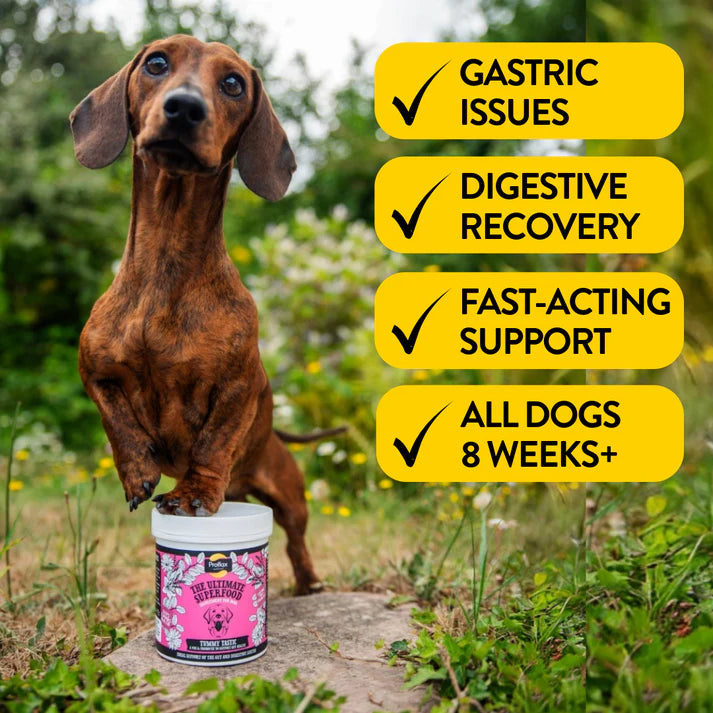 Proflax Tummy Tastic - Pre & Probiotics for Dogs