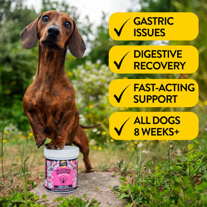 Proflax Tummy Tastic - Pre & Probiotics for Dogs